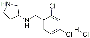 (2,4-二氯-苄基)-(R)-吡咯烷-3-基-胺盐酸盐