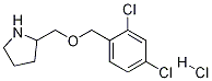 2-(2,4-Dichloro-benzyloxymethyl)-pyrrolidine hydrochloride