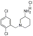 1-(2,5-Dichloro-benzyl)-piperidin-3-ylamine hydrochloride