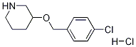 3-[(4-Chlorobenzyl)oxy]piperidine hydrochloride