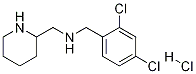 (2,4-Dichloro-benzyl)-piperidin-2-ylmethyl-amine hydrochloride
