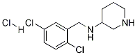 (2,5-Dichloro-benzyl)-piperidin-3-yl-amine hydrochloride