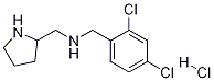 (2,4-Dichloro-benzyl)-pyrrolidin-2-ylmethyl-amine hydrochloride