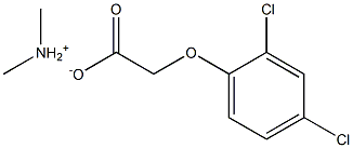 2.4-D dimethylamine salt Solution|
