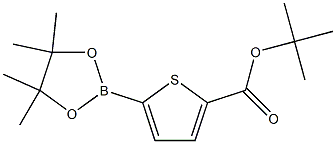 5-(4,4,5,5-TetraMethyl-[1,3,2]dioxaborolan-2-yl)-thiophene-2-carboxylic acid tert-butyl ester 结构式