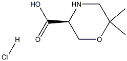 (S)-6,6-DIMETHYL-MORPHOLINE-3-CARBOXYLIC ACID HCL