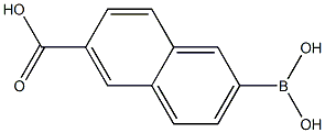 6-Carboxy-2-naphthaleneboronicacid 结构式