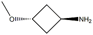 trans-3-MethoxycyclobutanaMine