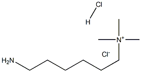 6-AMino-N,N,N-triMethyl-1-hexanaMiniuM Chloride Hydrochloride Struktur