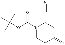 tert-butyl 2-cyano-4-oxopiperidine-1-carboxylate|