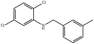 2,5-Dichloro-N-(3-methylbenzyl)aniline Structure