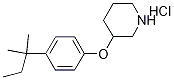 4-(tert-Pentyl)phenyl 3-piperidinyl etherhydrochloride Structure