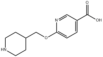 6-(piperidin-4-ylmethoxy)nicotinic acid Structure