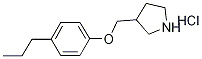 3-[(4-Propylphenoxy)methyl]pyrrolidinehydrochloride Structure