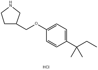 3-{[4-(tert-Pentyl)phenoxy]methyl}pyrrolidinehydrochloride|