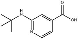 2-(TERT-ブチルアミノ)イソニコチン酸 化学構造式