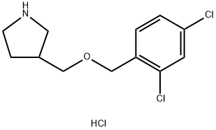 3-{[(2,4-Dichlorobenzyl)oxy]methyl}pyrrolidinehydrochloride|