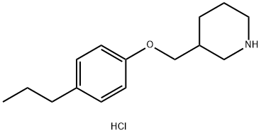 3-[(4-Propylphenoxy)methyl]piperidinehydrochloride|