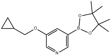 3-(环丙基甲氧基)-5-(4,4,5,5-四甲基-1,3,2-二氧杂环戊硼烷-2-基)吡啶, 1257553-87-9, 结构式