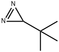 3-tert-Butyldiazirine Struktur