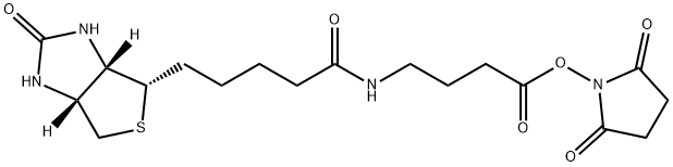 4-(5-((3AS,4S,6AR)-2-オキソヘキサヒドロ-1H-チエノ[3,4-D]イミダゾール-4-イル)ペンタンアミド)ブタン酸2,5-ジオキソピロリジン-1-イル 化学構造式