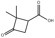 2,2-DiMethyl-3-oxocyclobutanecarboxylic acid, 3183-43-5, 结构式