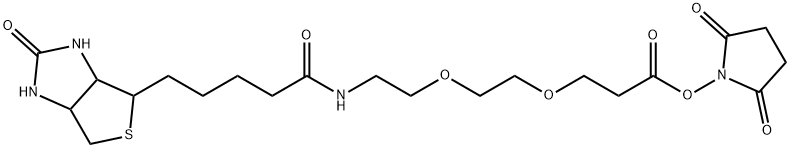 9-biotinlaMino-4,7-dioxanonanoic acid N-hydroxysucciniMidyl ester Structure
