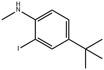 (4-tert-Butyl-2-iodo-phenyl)-Methyl-aMine Structure