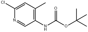 (6-氯-4-甲基吡啶-3-基)氨基甲酸叔丁酯 结构式