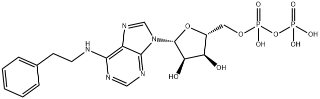 Adenosine 5'-(trihydrogen diphosphate), N-(2-phenylethyl)- Structure