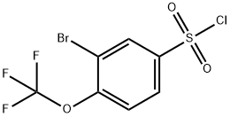 3-溴-4-(三氟甲氧基)苯磺酰氯 结构式