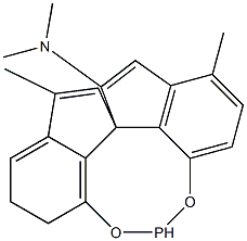 (11AR)-10,11,12,13-TETRAHYDRO-N,N,3,7-TETRAMETHYL-DIINDENO[7,1-DE:1',7'-FG][1,3,2]DIOXAPHOSPHOCIN-5-AMINE 结构式