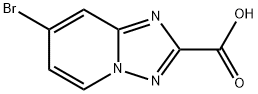 7-Bromo[1,2,4]triazolo[1,5-a]pyridine-2-carboxylic acid Structure
