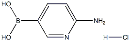6-氨基吡啶硼酸盐酸盐, 1309982-15-7, 结构式