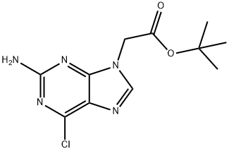 tert-butyl 2-(2-amino-6-chloro-9H-purin-9-yl)acetate