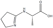 Alanine, N-(3,4-dihydro-2H-pyrrol-5-yl)- (6CI) Structure
