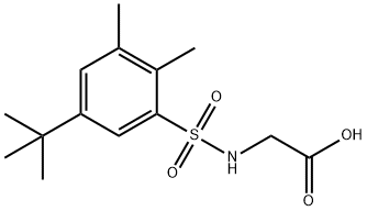 {[(5-tert-butyl-2,3-dimethylphenyl)sulfonyl]amino}acetic acid Struktur