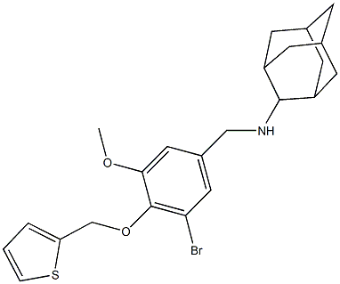 N-(2-adamantyl)-N-[3-bromo-5-methoxy-4-(2-thienylmethoxy)benzyl]amine 结构式