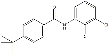 4-tert-butyl-N-(2,3-dichlorophenyl)benzamide Structure