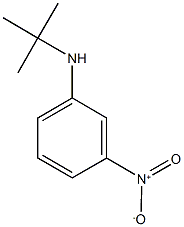 N-tert-ブチル-3-ニトロアニリン 化学構造式