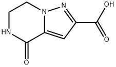4-OXO-4,5,6,7-TETRAHYDROPYRAZOLO[1,5-A] PYRAZINE-2-CARBOXYLIC ACID Struktur