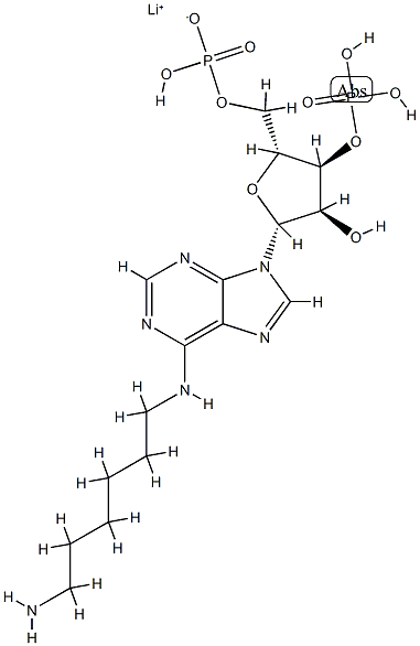 N-（6-氨基己基）-5'-O-（羟基膦酰基）腺苷3'-（磷酸二氢）锂 结构式