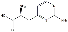 L-Lathyrine Structure