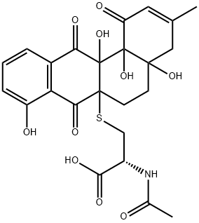 WS 009A Structure