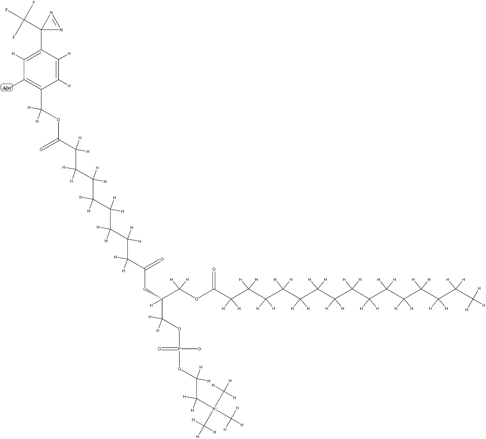 1-palmitoyl-2-(decanedioyl mono-(2-iodo-4-(3-trifluoromethyl-3H-diazirin-3-yl)benzyl)ester)glycero-3-phosphocholine Structure