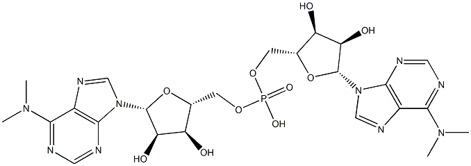 N(6),N(6)-dimethyladenylyl(3'-5')N(6),N(6)-dimethyladenosine 结构式