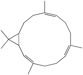 Casbene Structure