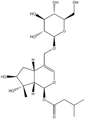 [(1S)-1,4aα,5,6,7,7aα-ヘキサヒドロ-6α,7β-ジヒドロキシ-7-メチル-1α-(3-メチル-1-オキソブトキシ)シクロペンタ[c]ピラン-4-イル]メチルβ-D-グルコピラノシド 化学構造式