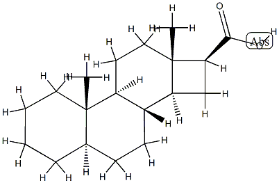 D-ノル-5α-アンドロスタン-16β-カルボン酸 化学構造式
