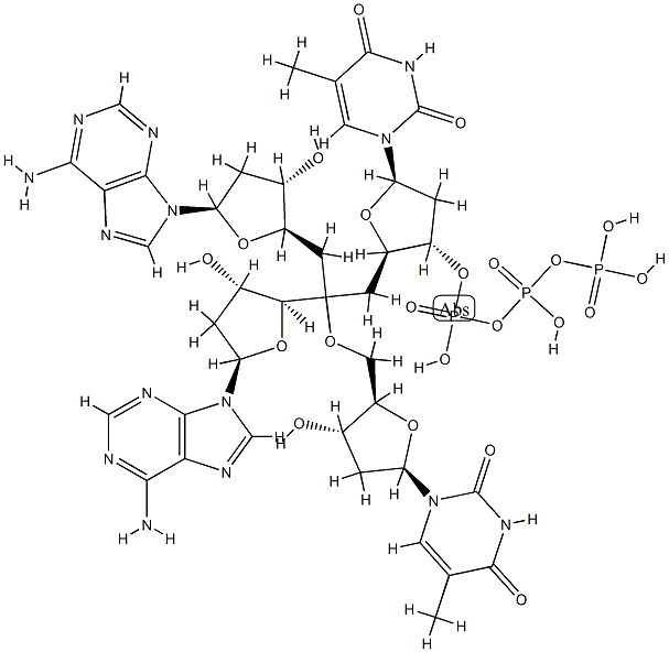 deoxy-(thymidylyl-adenylyl-thymidylyl-adenylic acid)|
